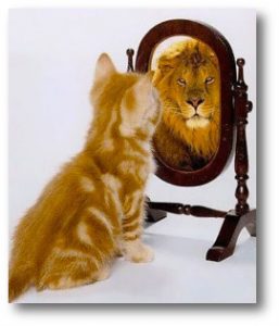 Katze die im Spiegel einen Loewen sieht